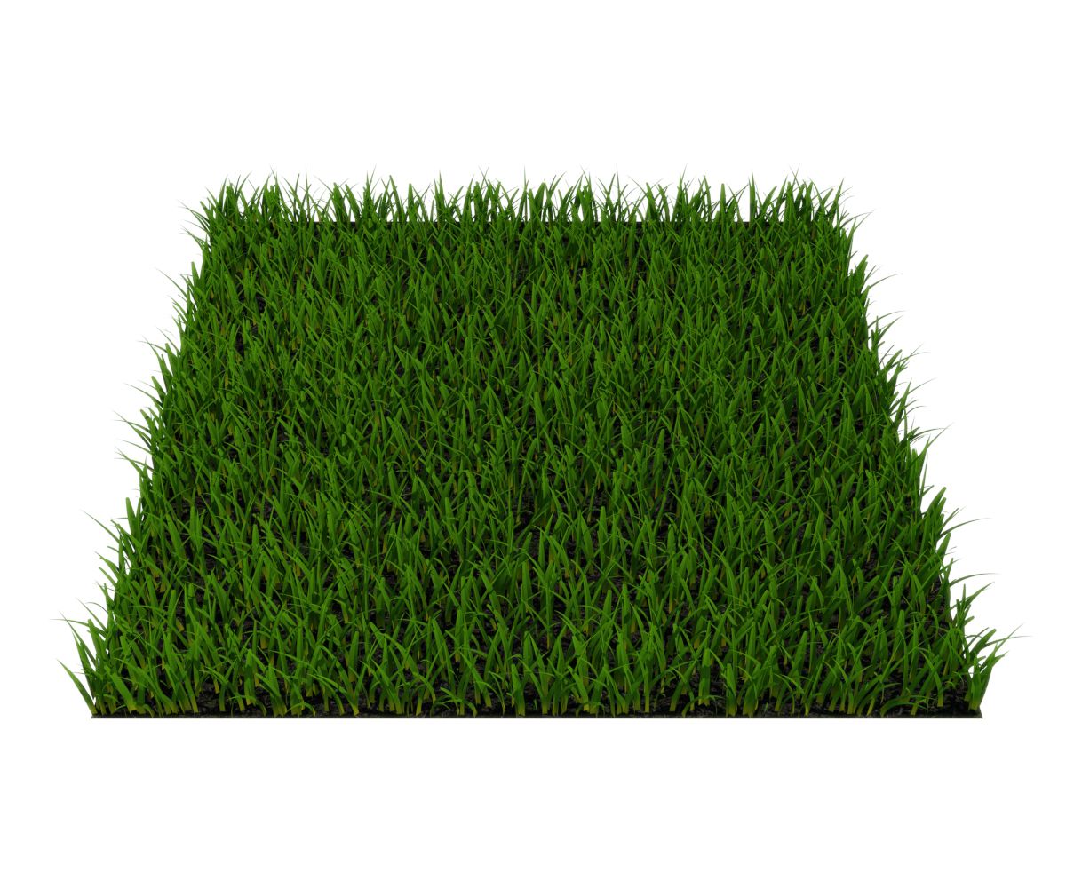 herbe 3d model