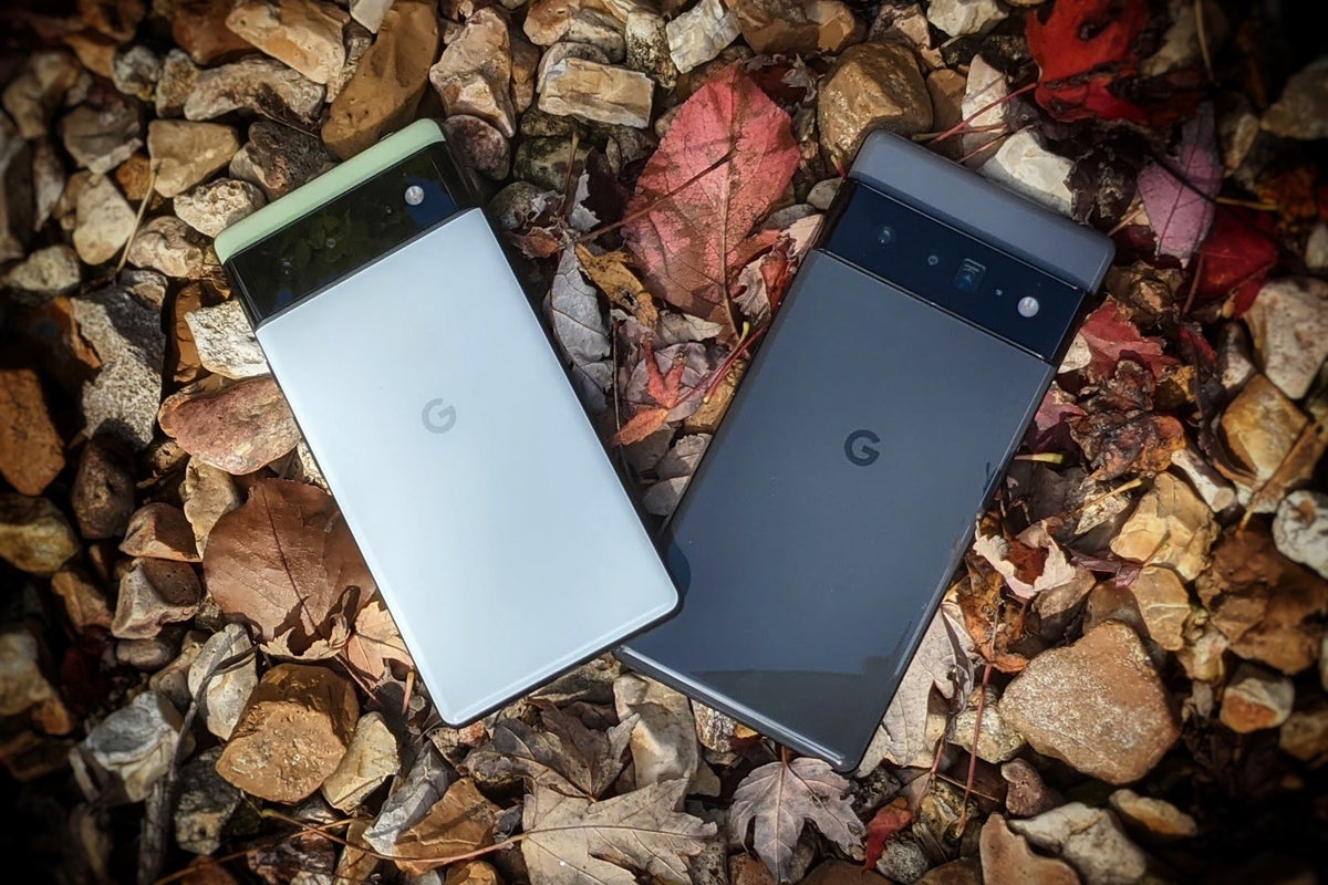 Pixel 6 vs. Pixel 6 Pro