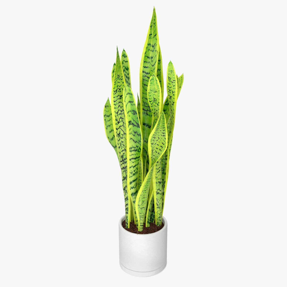 Planta de espadas de Saint Georges modelo 3d